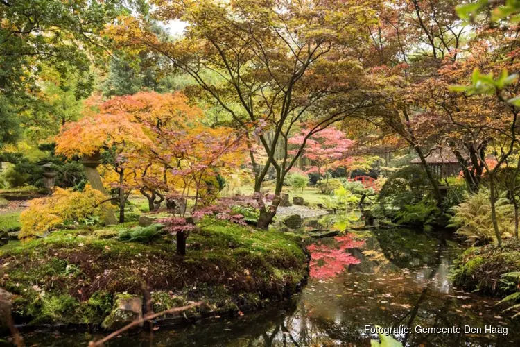 Japanse Tuin open tussen 19 oktober en 3 november